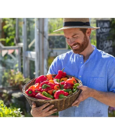 Spitzpaprika, Rot -Haus Pflanzen Welt 8831588 8833501 8831034 8831687 8831125 8830382 WE MO 001 Titel GC07 2020 02 PaprikaSpitzpaprikaSnackpaprikaPeproniPiriPiri