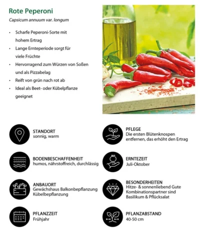 Rote Peperoni, Scharf -Haus Pflanzen Welt 8831687 WE IG 001 RotePeperoni