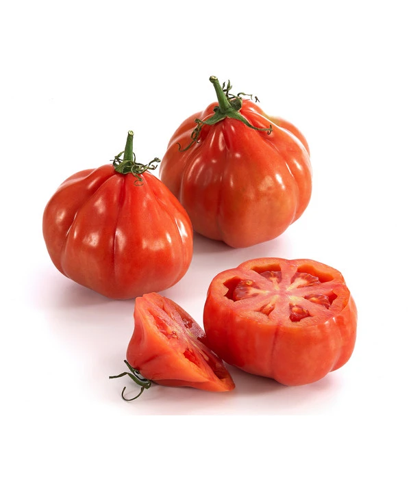 Ochsenherztomate 'Fleurette' 5 Ochsenherztomate 'Fleurette' – Bild 3