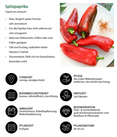 Spitzpaprika, Rot -Haus Pflanzen Welt 8833501 WE IG 001 Spitzpaprika