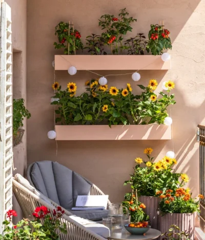 Pick-a-Tom® Cocktailtomate Mit Früchten, Rot -Haus Pflanzen Welt 8838757 WE MO 001 SonnenbalkonPickaTom