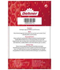 Erdbeere 'Delizz' -Haus Pflanzen Welt 8840274 ErdbeereDelizzImmertragend Etikett 2