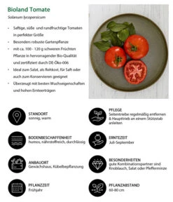 Bioland Tomate, Rundfruchtig 9 Bioland Tomate, Rundfruchtig -Haus Pflanzen Welt 8842619 WE IG 001 BiolandTomate