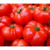 Bioland Fleischtomate -Haus Pflanzen Welt 8842627 WE DE 001 BiolandFleischtomate