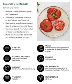 Bioland Fleischtomate -Haus Pflanzen Welt 8842627 WE IG 001 BiolandFleischtomate