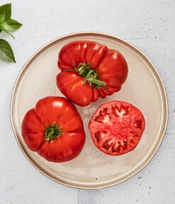 Bioland Fleischtomate -Haus Pflanzen Welt 8842627 WE MO 001 BiolandFleischtomate