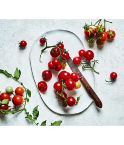 Bioland Cherrytomate -Haus Pflanzen Welt 8842635 WE MO 002 Bio Cherrytomate