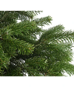 Nordmann-Tanne, Ca. 60-80 Cm, Im Topf Gewachsen -Haus Pflanzen Welt 8995763 WE DE 003 AbiesNordmannianaNordmanntanne60 80DehnerExpressHerzig