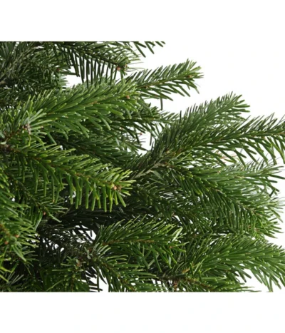 Nordmann-Tanne, Ca. 60-80 Cm, Im Topf Gewachsen -Haus Pflanzen Welt 8995763 WE DE 003 AbiesNordmannianaNordmanntanne60 80DehnerExpressHerzig