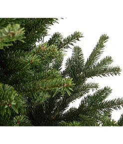 Nordmann-Tanne, Ca. 150-200 Cm, Gesägt 6 Nordmann-Tanne, Ca. 150-200 Cm, Gesägt -Haus Pflanzen Welt 8995912 WE DE 002 AbiesNordmannianaNordmanntanneMQ175 200GesaegtDehnerExpressHerzig