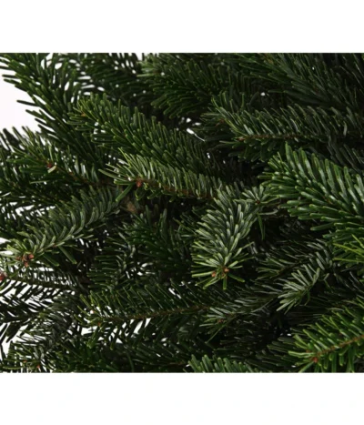 Nordmann-Tanne, Ca. 80-100 Cm, Im Topf Gewachsen -Haus Pflanzen Welt 8995938 WE DE 003 AbiesNordmanniananNordmanntanne80 100DehnerExpressHerzig