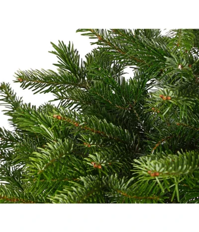 Nordmann-Tanne, Ca. 125-150 Cm, Im Topf Gewachsen 7 Nordmann-Tanne, Ca. 125-150 Cm, Im Topf Gewachsen -Haus Pflanzen Welt 8995946 WE DE 001 AbiesNordmannianaNordmanntanne125 150Co8LDehnerExpressHerzig
