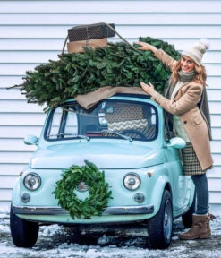 Nordmann-Tanne, Ca. 100-150 Cm, Gesägt 7 Nordmann-Tanne, Ca. 100-150 Cm, Gesägt -Haus Pflanzen Welt 8996480 WE MO 001 AbiesNordmannianaTitel