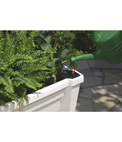 KHW Kunststoff-Pflanzkasten Calypso, Inkl. Spalier Und Rollen 8 KHW Kunststoff-Pflanzkasten Calypso, Inkl. Spalier Und Rollen -Haus Pflanzen Welt 967331 WE DE 002 KHWKunststoffPflanzkastenCalypsoinklSpalierundRollenweiss