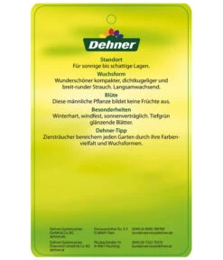 Stechpalme 'Heckenstar' -Haus Pflanzen Welt AmerikanischerIlexHeckenstar Etikett 2