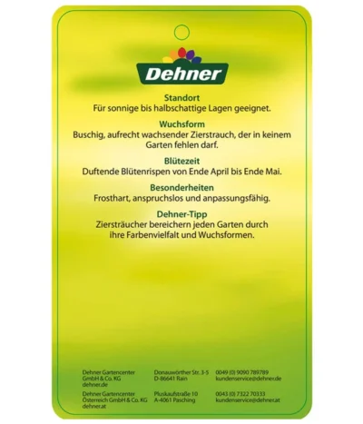 Edelflieder 'Sensation' -Haus Pflanzen Welt EdelFliederSensation Etikett 2