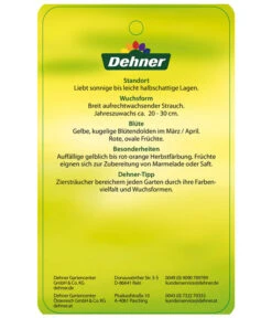 Kornelkirsche - Cornus Mas -Haus Pflanzen Welt KornelkirscheCornusmas Etikett 2