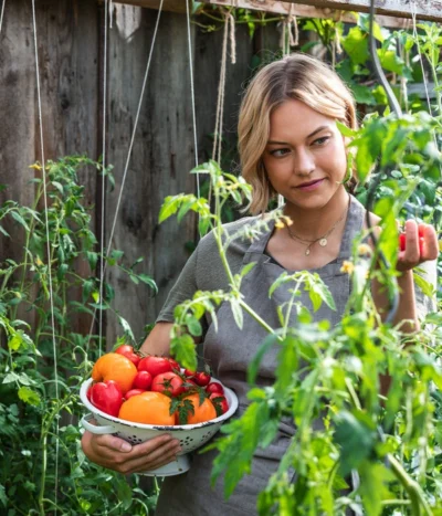 Ochsenherztomate 'Fleurette' 11 Ochsenherztomate 'Fleurette' -Haus Pflanzen Welt WE MO 001 Ernte Tomate 04